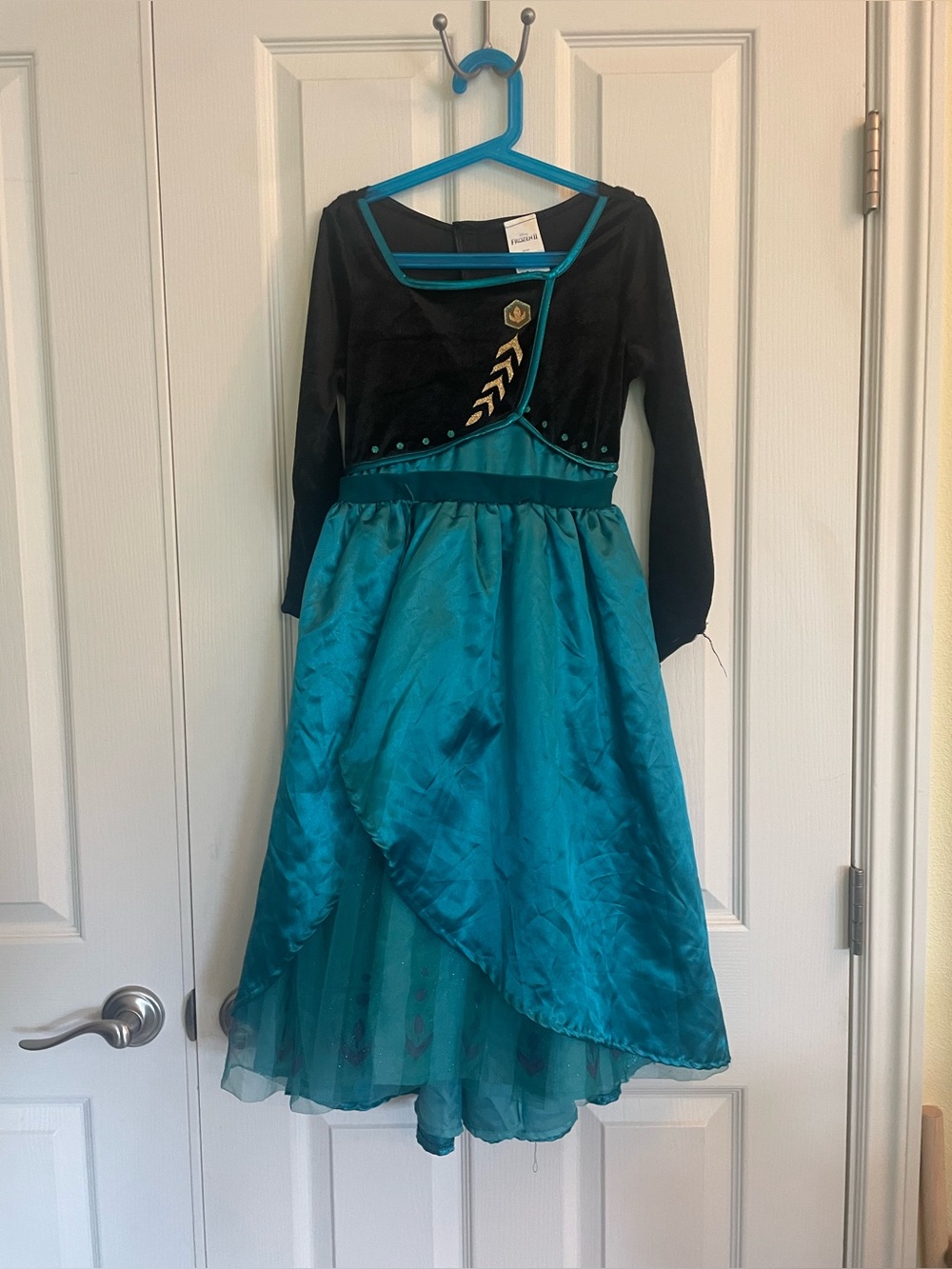 Frozen costume dress Anna